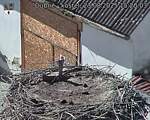 Capi_Dubne_20250823_152003.jpg