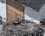 Capi_Dubne_20250823_152503.jpg