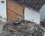 Capi_Dubne_20250823_153503.jpg