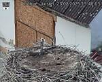 Capi_Dubne_20250823_154003.jpg