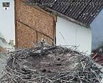 Capi_Dubne_20250823_154503.jpg