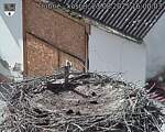 Capi_Dubne_20250823_160003.jpg
