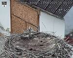 Capi_Dubne_20250823_160503.jpg