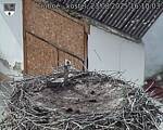 Capi_Dubne_20250823_161003.jpg