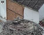 Capi_Dubne_20250823_161503.jpg