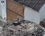 Capi_Dubne_20250823_162003.jpg