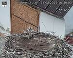 Capi_Dubne_20250823_163003.jpg