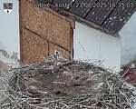 Capi_Dubne_20250823_163503.jpg