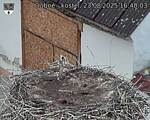 Capi_Dubne_20250823_164003.jpg