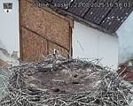 Capi_Dubne_20250823_165003.jpg