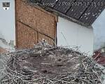 Capi_Dubne_20250823_171503.jpg