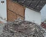 Capi_Dubne_20250823_172003.jpg