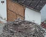 Capi_Dubne_20250823_174003.jpg