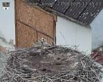 Capi_Dubne_20250823_174503.jpg