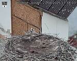 Capi_Dubne_20250823_175003.jpg