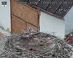 Capi_Dubne_20250823_180003.jpg