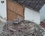 Capi_Dubne_20250823_181003.jpg