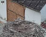 Capi_Dubne_20250823_183002.jpg