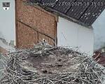 Capi_Dubne_20250823_183503.jpg