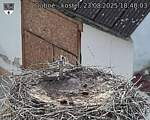 Capi_Dubne_20250823_184003.jpg