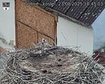 Capi_Dubne_20250823_184503.jpg