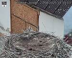 Capi_Dubne_20250823_185503.jpg