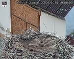 Capi_Dubne_20250823_190003.jpg