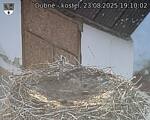 Capi_Dubne_20250823_191002.jpg