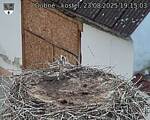 Capi_Dubne_20250823_191503.jpg