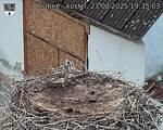 Capi_Dubne_20250823_193503.jpg