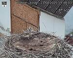 Capi_Dubne_20250823_194003.jpg