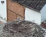 Capi_Dubne_20250823_195003.jpg