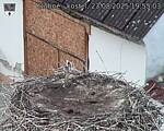 Capi_Dubne_20250823_195503.jpg
