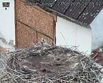 Capi_Dubne_20250823_200502.jpg