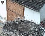 Capi_Dubne_20250823_201003.jpg