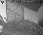 Capi_Dubne_20250823_202502.jpg