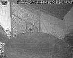 Capi_Dubne_20250823_203003.jpg