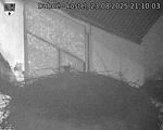Capi_Dubne_20250823_211003.jpg