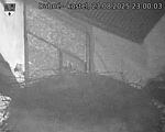 Capi_Dubne_20250823_230003.jpg