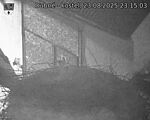 Capi_Dubne_20250823_231503.jpg
