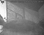 Capi_Dubne_20250824_012003.jpg