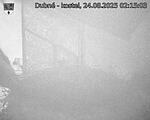 Capi_Dubne_20250824_021503.jpg