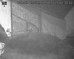 Capi_Dubne_20250824_023003.jpg