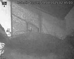 Capi_Dubne_20250824_024503.jpg