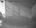 Capi_Dubne_20250824_031002.jpg