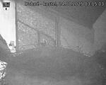Capi_Dubne_20250824_031503.jpg