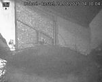Capi_Dubne_20250824_043004.jpg