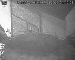 Capi_Dubne_20250824_044003.jpg