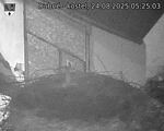 Capi_Dubne_20250824_052503.jpg