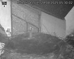 Capi_Dubne_20250824_053002.jpg